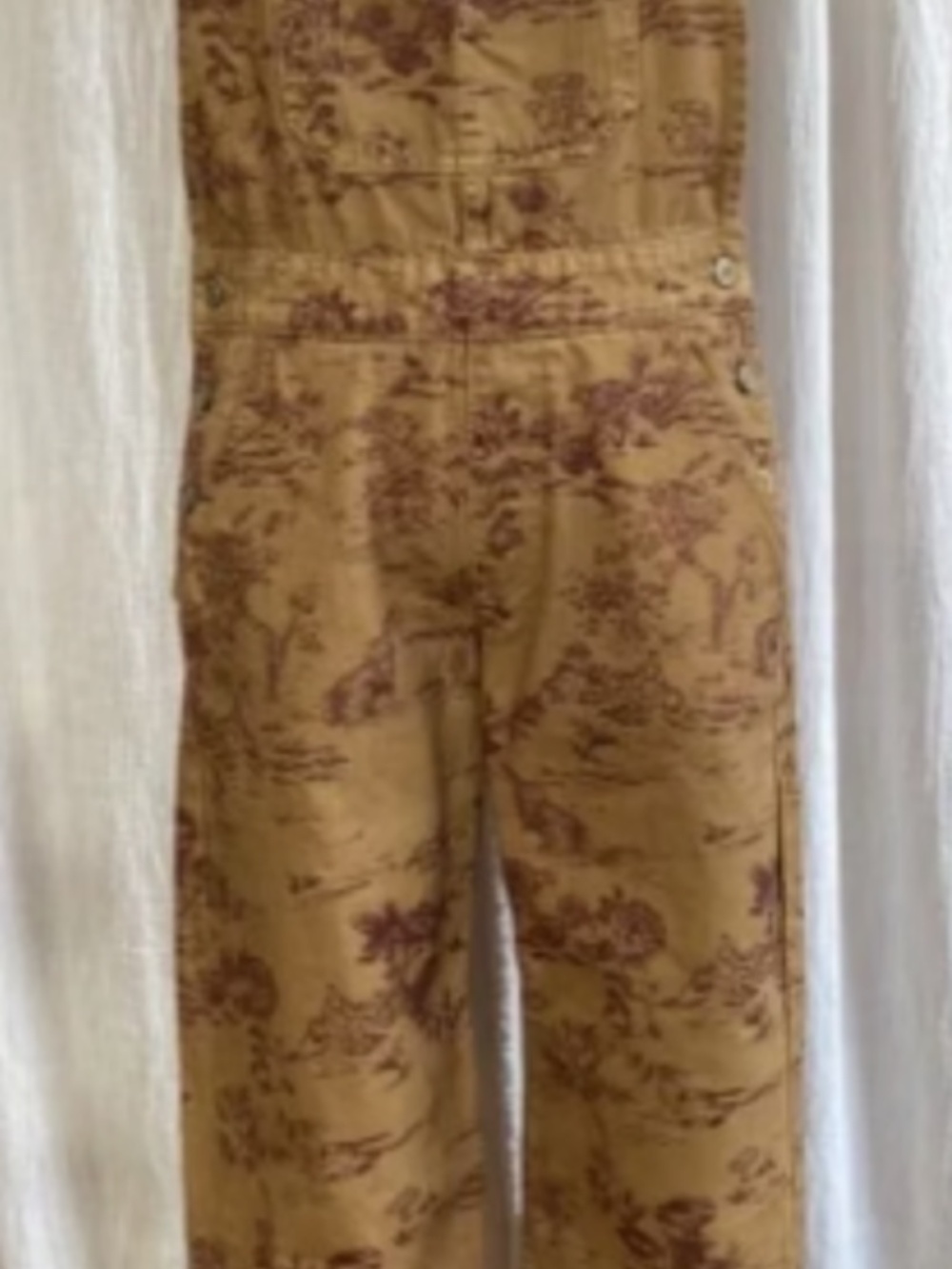 Limited Edition Free People overalls